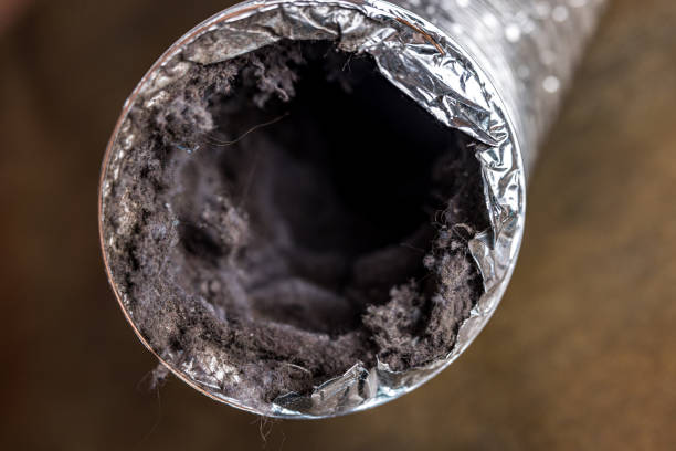 Home Air Vent Cleaning in Quail Ridge, FL